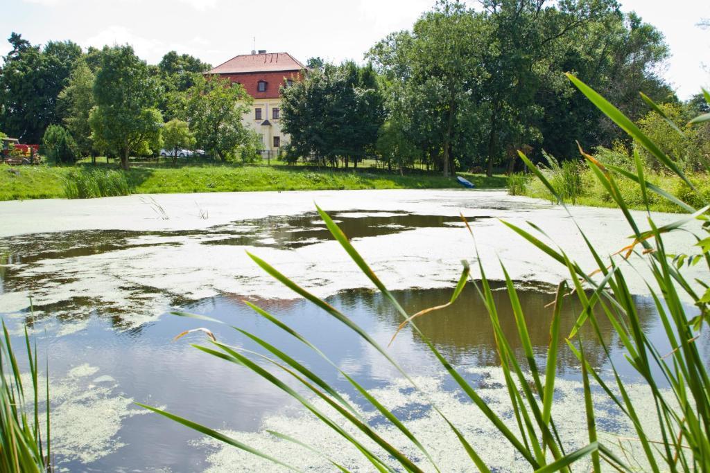 Palac Kietlin Niemcza Exterior photo